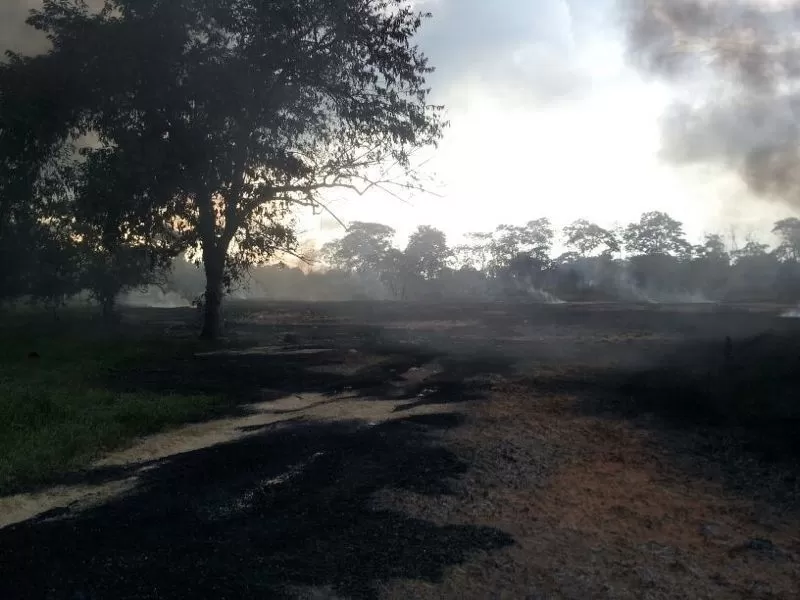 A las 03:05 de la tarde, fue afectado por artefactos explosivos improvisados el oleoducto Caño Limón Coveñas de Ecopetrol, en el kilómetro 87+500 metros, en inmediaciones de la vereda Miramar, jurisdicción del municipio de Saravena.
